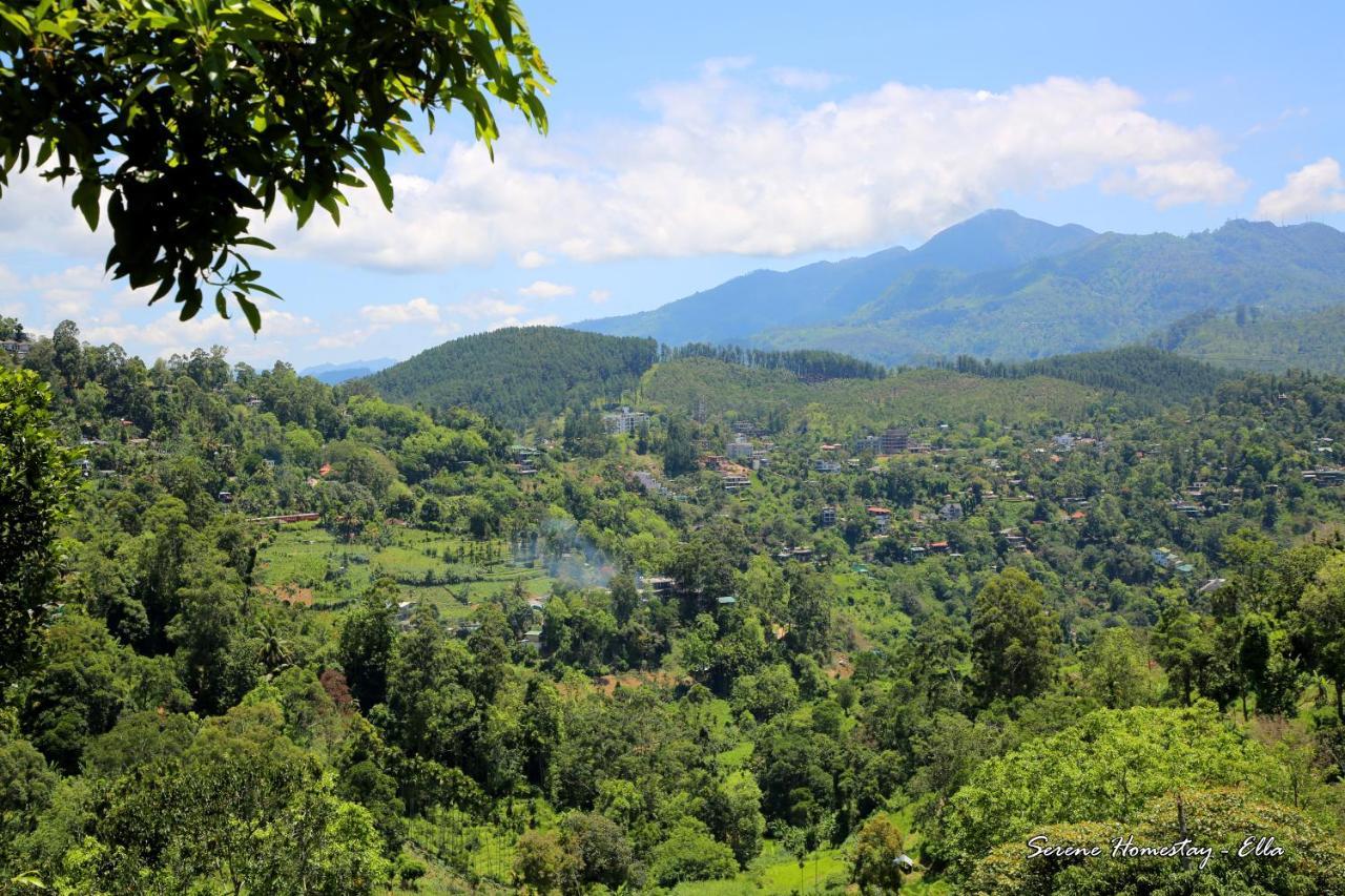 Serene Homestay Элла Экстерьер фото