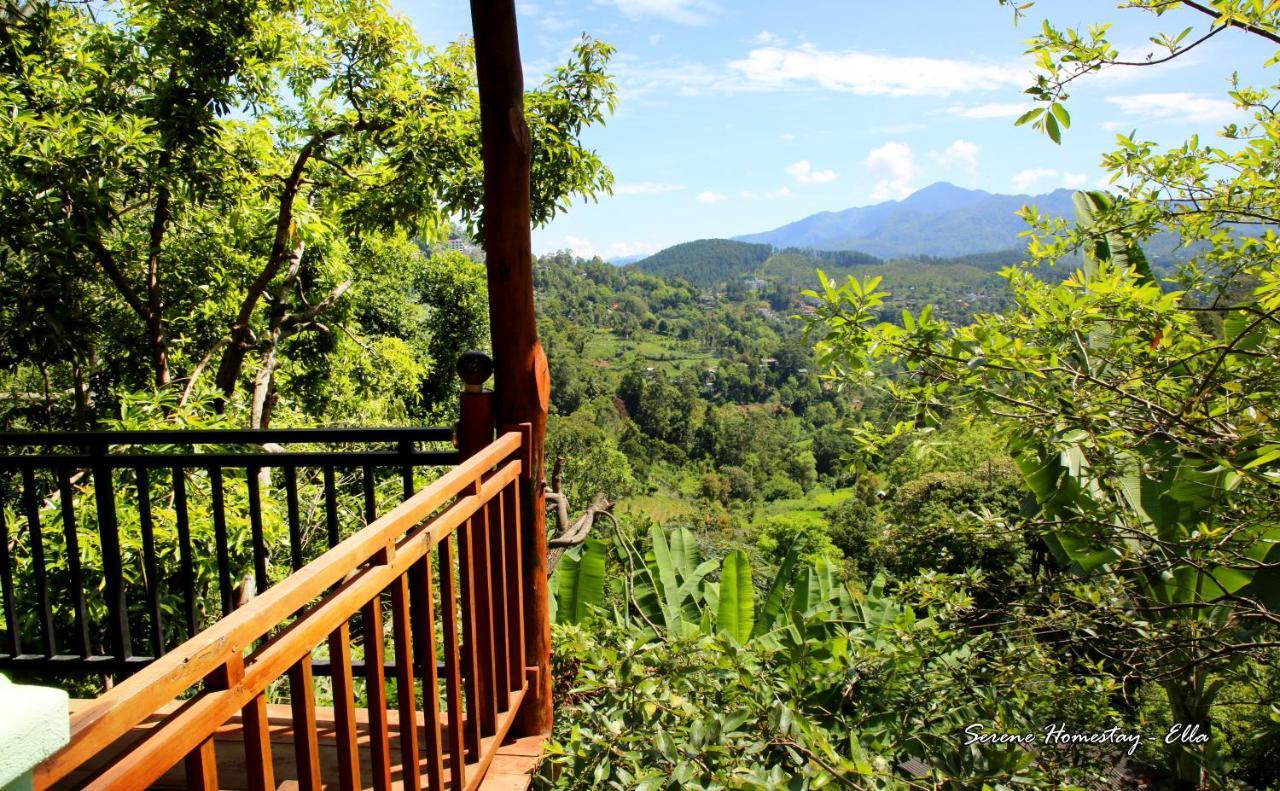 Serene Homestay Элла Экстерьер фото